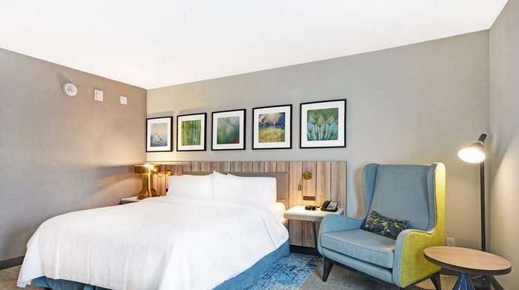 Hilton Garden Inn Houston Hobby Airport Room