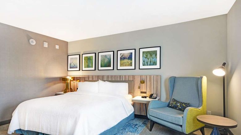 <b>Hilton Garden Inn Houston Hobby Airport Room</b>. Images powered by <a href="https://iceportal.shijigroup.com/" title="IcePortal" target="_blank">IcePortal</a>.