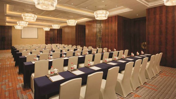 Wyndham Urumqi North Meeting