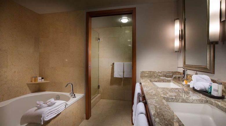 <b>The Paramount Hotel, Seattle Room</b>. Images powered by <a href="https://iceportal.shijigroup.com/" title="IcePortal" target="_blank">IcePortal</a>.
