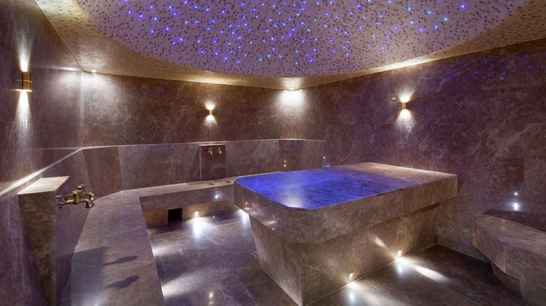 <b>DoubleTree by Hilton Almaty Recreation</b>. Images powered by <a href="https://iceportal.shijigroup.com/" title="IcePortal" target="_blank">IcePortal</a>.