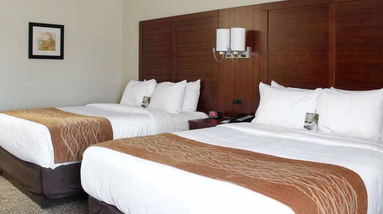 Comfort Inn & Suites Fultondale Room