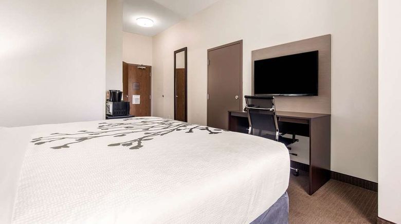 <b>Sleep Inn & Suites, South Jacksonville Room</b>. Images powered by <a href="https://iceportal.shijigroup.com/" title="IcePortal" target="_blank">IcePortal</a>.