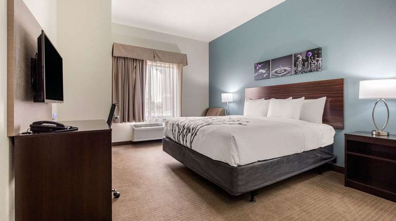 <b>Sleep Inn & Suites, South Jacksonville Room</b>. Images powered by <a href="https://iceportal.shijigroup.com/" title="IcePortal" target="_blank">IcePortal</a>.