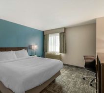 Best Western Watertown Inn and Suites Room