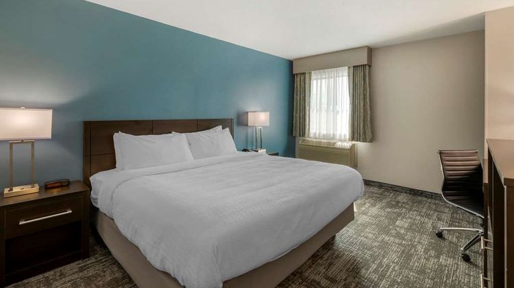 Best Western Watertown Inn and Suites Room