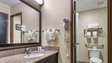 Comfort Inn Asheville/Tunnel Road Room