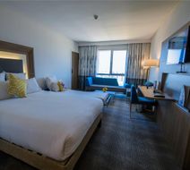 Novotel Mohammedia Room
