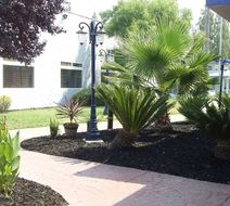 SureStay Plus Hotel by BW Cal Expo Exterior