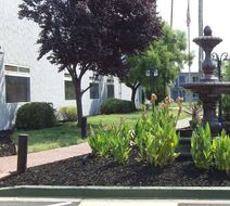 SureStay Plus Hotel by BW Cal Expo Exterior