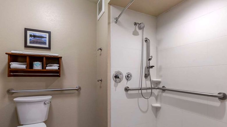 <b>Comfort Inn & Suites Coeur D'Alene Room</b>. Images powered by <a href="https://iceportal.shijigroup.com/" title="IcePortal" target="_blank">IcePortal</a>.