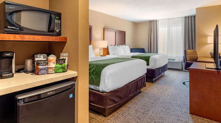 Comfort Inn & Suites Schenectady Room