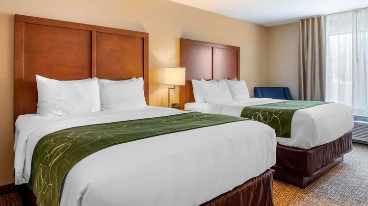 Comfort Inn & Suites Schenectady Room