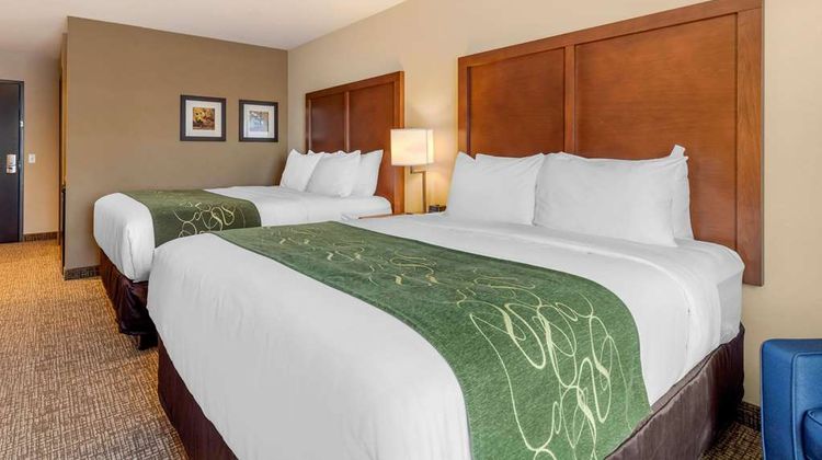 Comfort Inn & Suites Schenectady Room