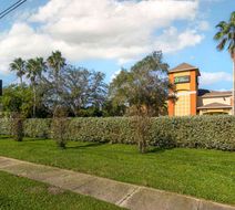 Extended Stay America Stes Clearwater Exterior