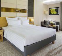 Novotel Ulaanbaatar Room