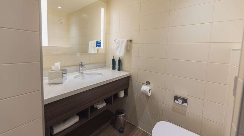 <b>Hilton Garden Inn Birmingham Airport Room</b>. Images powered by <a href="https://iceportal.shijigroup.com/" title="IcePortal" target="_blank">IcePortal</a>.