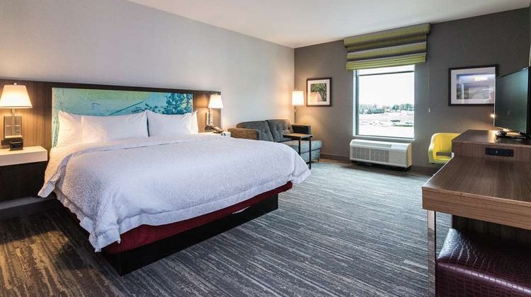 Hampton Inn & Suites Allen Park Other