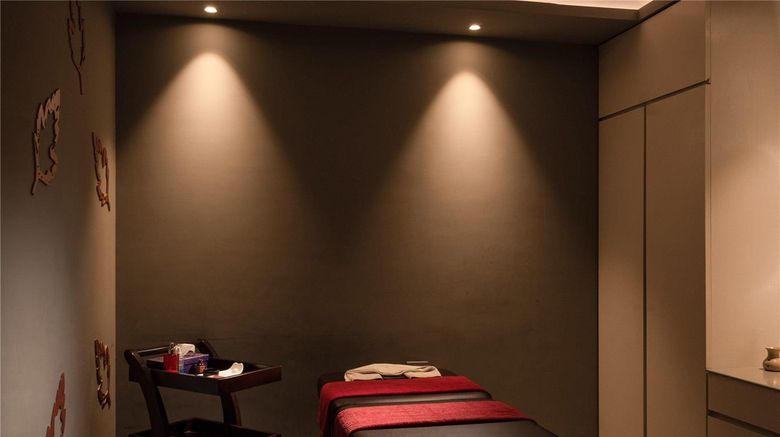 <b>Novotel Vijayawada Varun Spa</b>. Images powered by <a href="https://iceportal.shijigroup.com/" title="IcePortal" target="_blank">IcePortal</a>.