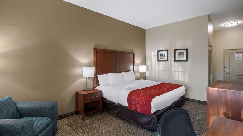 <b>Comfort Inn & Suites Cedar Hill Room</b>. Images powered by <a href="https://iceportal.shijigroup.com/" title="IcePortal" target="_blank">IcePortal</a>.