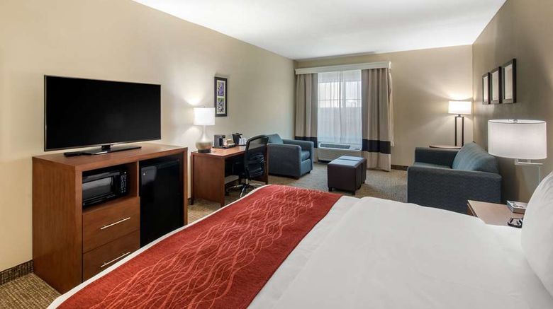 <b>Comfort Inn & Suites Cedar Hill Suite</b>. Images powered by <a href="https://iceportal.shijigroup.com/" title="IcePortal" target="_blank">IcePortal</a>.