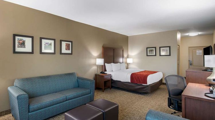 Comfort Inn & Suites Cedar Hill Suite