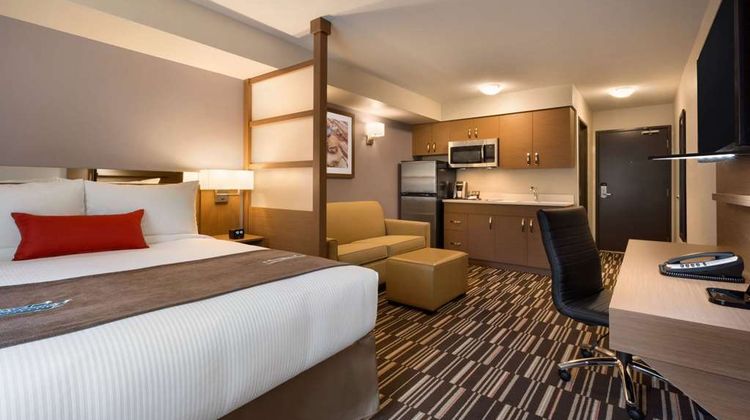 Microtel Inn/Stes by Wyndham Oyster Bay Room