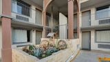 Super 8 San Antonio Pearl Dstr Other