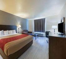 Econo Lodge Inn & Suites Room