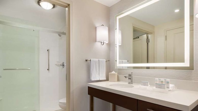 <b>Homewood Suites Albany Crossgates Mall Room</b>. Images powered by <a href="https://iceportal.shijigroup.com/" title="IcePortal" target="_blank">IcePortal</a>.
