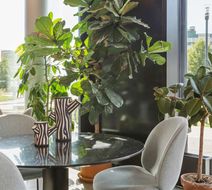 Best Western Plus Grow Hotel Lobby