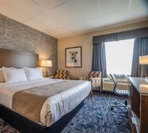 Monte Carlo Inn Airport Suites Room