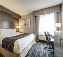 Monte Carlo Inn Brampton Suites Room