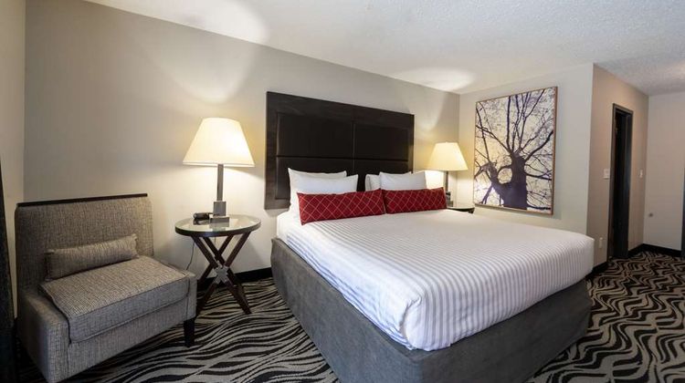 SureStay Hotel by Best Western Castlegar Room