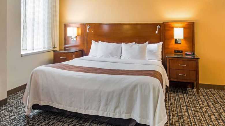 <b>Quality Inn & Suites Room</b>. Images powered by <a href="https://iceportal.shijigroup.com/" title="IcePortal" target="_blank">IcePortal</a>.