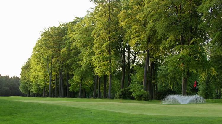 Forest Pines Hotel, Spa & Golf Resort Golf