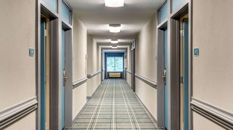 Quality Inn & Suites Other