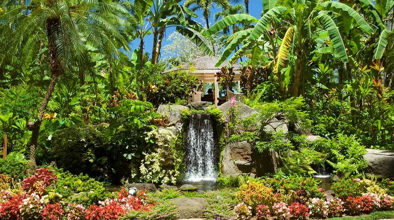 <b>Aston Kaanapali Shores Other</b>. Images powered by <a href="https://iceportal.shijigroup.com/" title="IcePortal" target="_blank">IcePortal</a>.