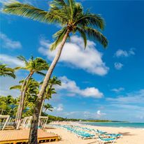 Emotions by Hodelpa Puerto Plata