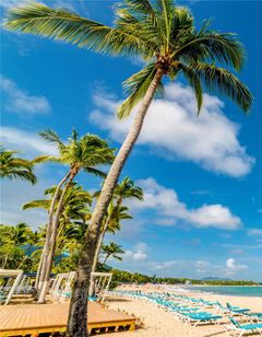 Emotions by Hodelpa Puerto Plata