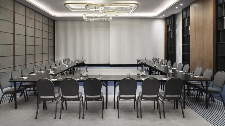 Grand Hyatt Athens Meeting