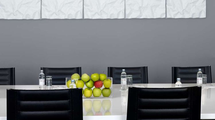 Park Plaza Verudela Pula Meeting