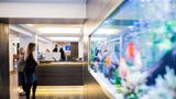 <b>Radisson Blu Limfjord Hotel Lobby</b>. Images powered by <a href="https://iceportal.shijigroup.com/" title="IcePortal" target="_blank">IcePortal</a>.