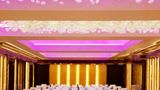 Radisson Blu Plaza Delhi Airport Ballroom