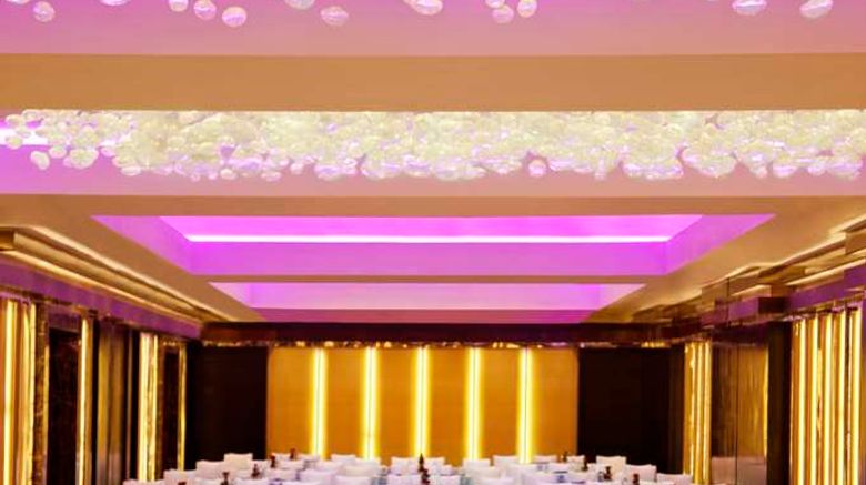 <b>Radisson Blu Plaza Delhi Airport Ballroom</b>. Images powered by <a href="https://iceportal.shijigroup.com/" title="IcePortal" target="_blank">IcePortal</a>.