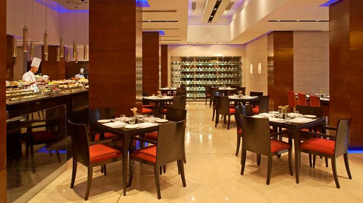 Radisson Blu Plaza Delhi Airport Restaurant