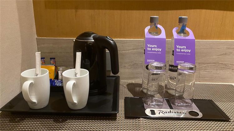 Radisson Resort & Spa Kandla Other