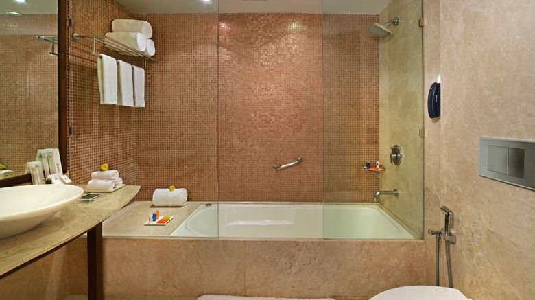 <b>Radisson Hotel Khajuraho Room</b>. Images powered by <a href="https://iceportal.shijigroup.com/" title="IcePortal" target="_blank">IcePortal</a>.