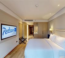 Radisson Blu Marina Hotel Connaught Plac Room
