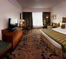 Radisson Blu Hotel Noida Room